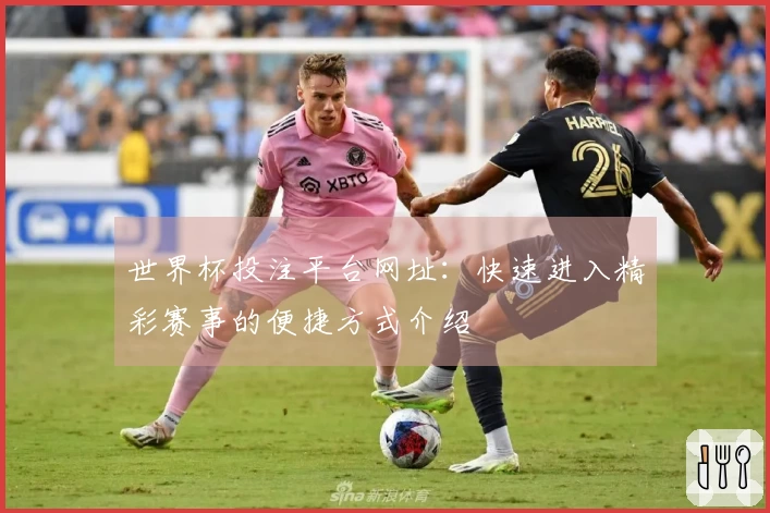世界杯投注平台网址：快速进入精彩赛事的便捷方式介绍