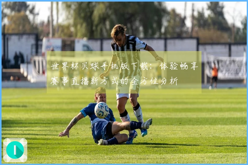 世界杯买球手机版下载：体验畅享赛事直播新方式的全方位分析