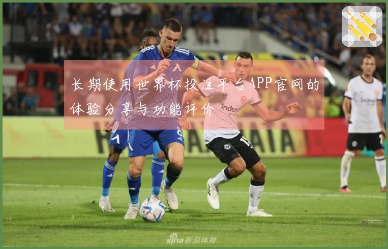 长期使用世界杯投注平台APP官网的体验分享与功能评价