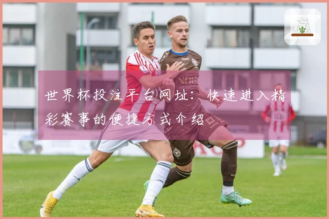 世界杯投注平台网址：快速进入精彩赛事的便捷方式介绍