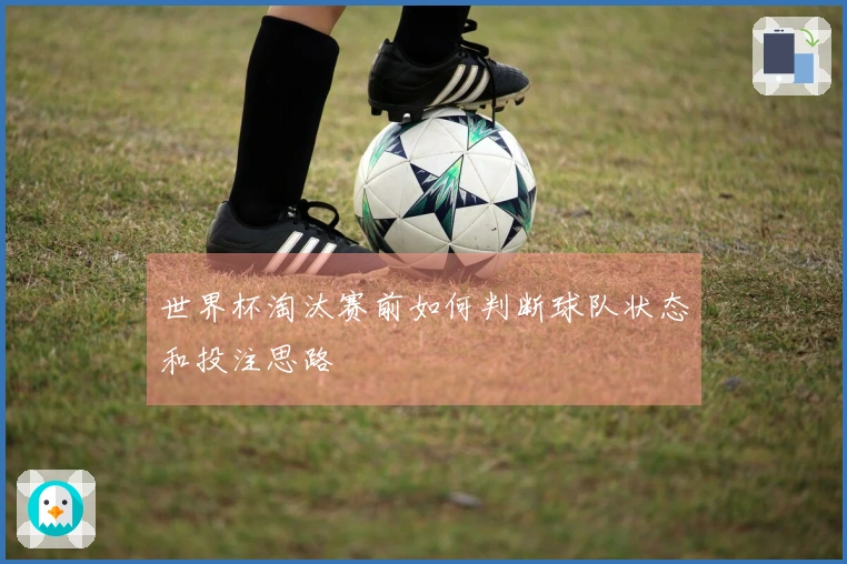 世界杯淘汰赛前如何判断球队状态和投注思路