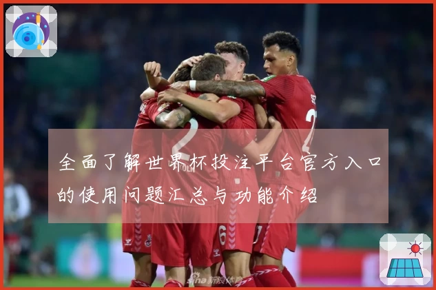 全面了解世界杯投注平台官方入口的使用问题汇总与功能介绍