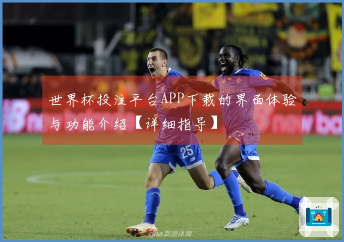 世界杯投注平台APP下载的界面体验与功能介绍【详细指导】