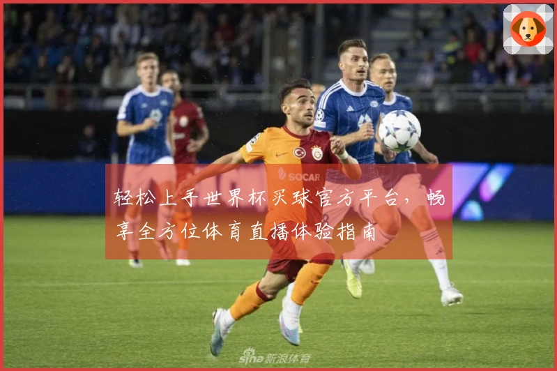 轻松上手世界杯买球官方平台,畅享全方位体育直播体验指南