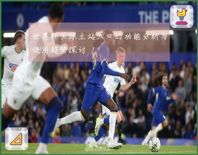 世界杯买球主站入口的功能分析与使用趋势探讨