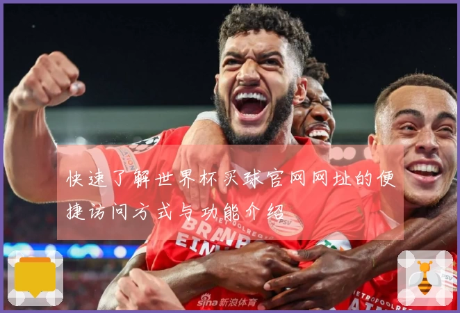快速了解世界杯买球官网网址的便捷访问方式与功能介绍