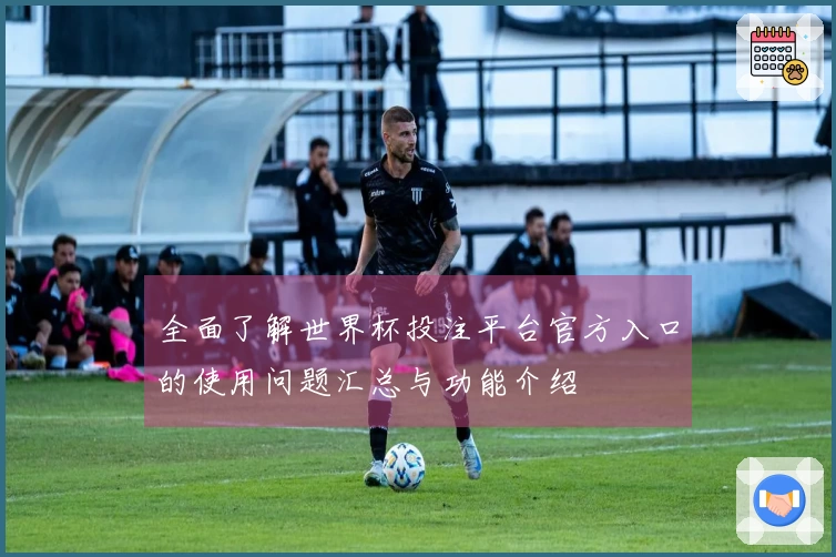 全面了解世界杯投注平台官方入口的使用问题汇总与功能介绍