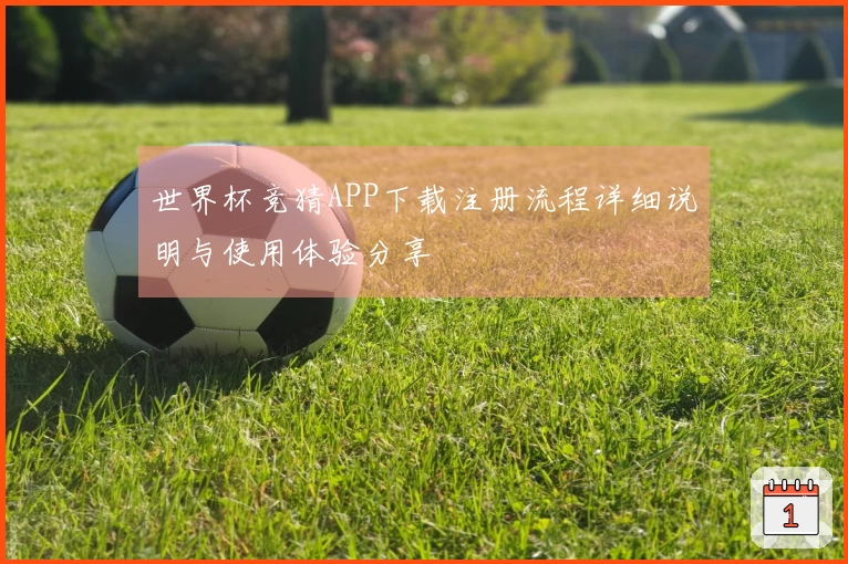 世界杯竞猜APP下载注册流程详细说明与使用体验分享